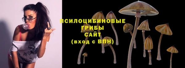 мяу мяу мука Алзамай