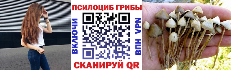 Галлюциногенные грибы MAGIC MUSHROOMS  Заволжск 