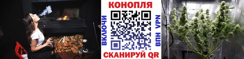 наркота  Заволжск  МАРИХУАНА конопля 